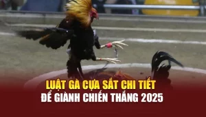 Luật Gà Cựa Sắt Chi Tiết Để Giành Chiến Thắng 2025