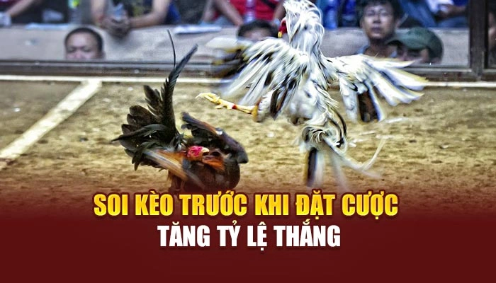 Soi kèo trước khi đặt cược tăng tỷ lệ thắng