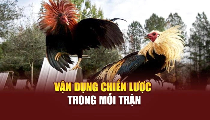 Vận dụng chiến lược trong mỗi trận